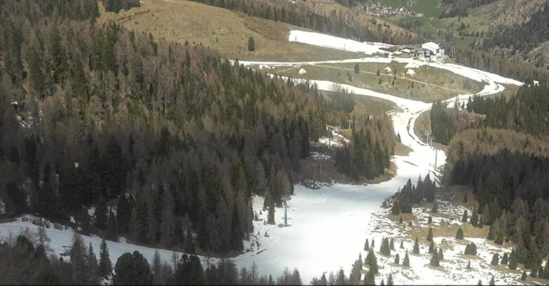 Webcam Moena-Alpe Lusia  - Pista Piavac
