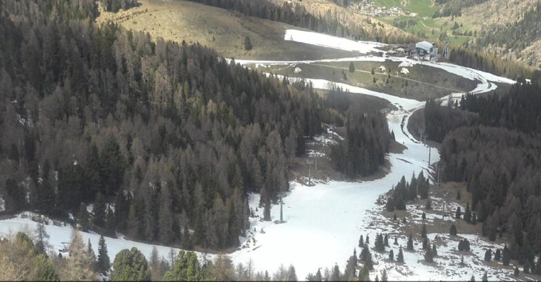 Webcam Moena-Alpe Lusia  - Pista Piavac