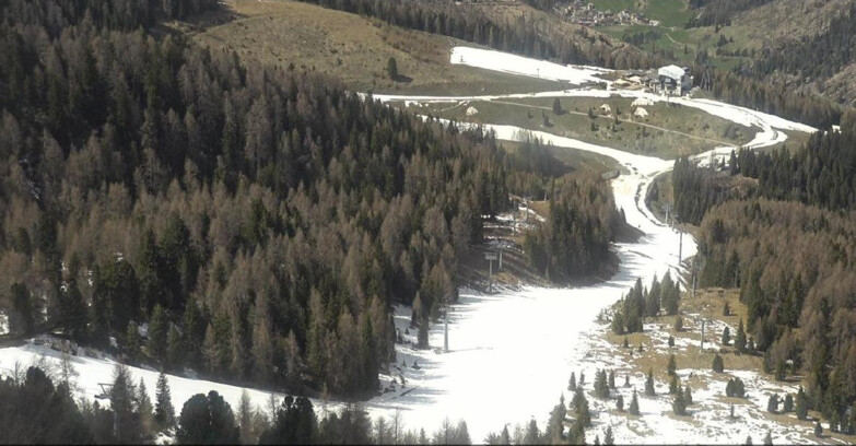 Webcam Moena-Alpe Lusia  - Pista Piavac