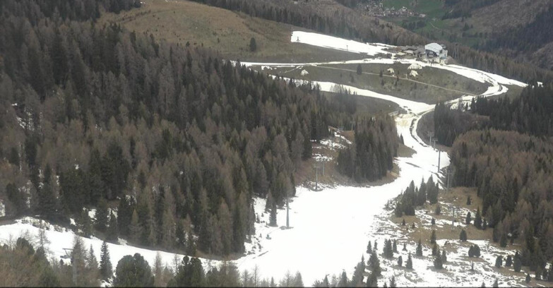 Webcam Moena-Alpe Lusia  - Pista Piavac