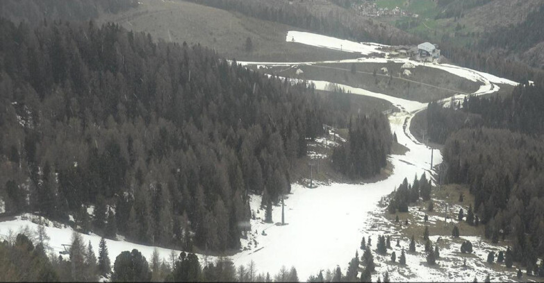 Webcam Moena-Alpe Lusia  - Pista Piavac