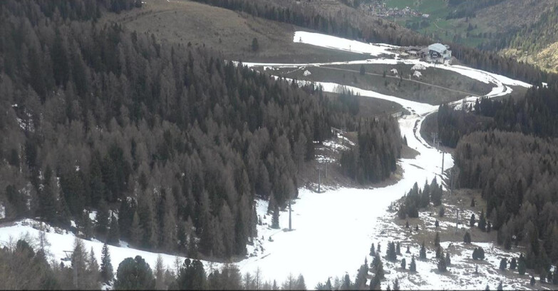Webcam Moena-Alpe Lusia  - Pista Piavac
