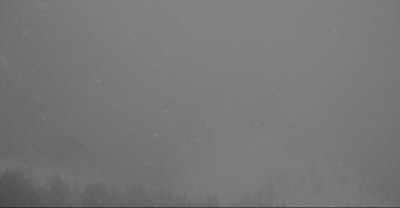 Webcam Moena-Alpe Lusia  - Pista Piavac