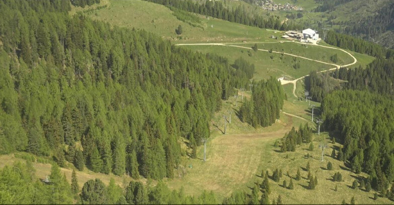 Webcam Moena-Alpe Lusia  - Pista Piavac