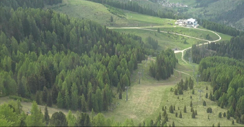 Webcam Moena-Alpe Lusia  - Pista Piavac