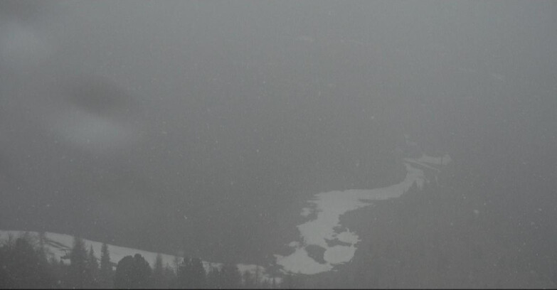 Webcam Moena-Alpe Lusia  - Pivac Piste