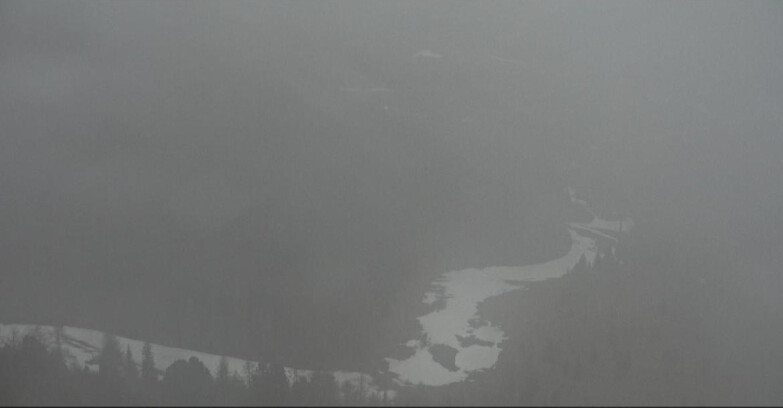 Webcam Moena-Alpe Lusia  - Pivac Piste