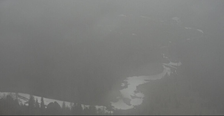 Webcam Moena-Alpe Lusia  - Pivac Piste