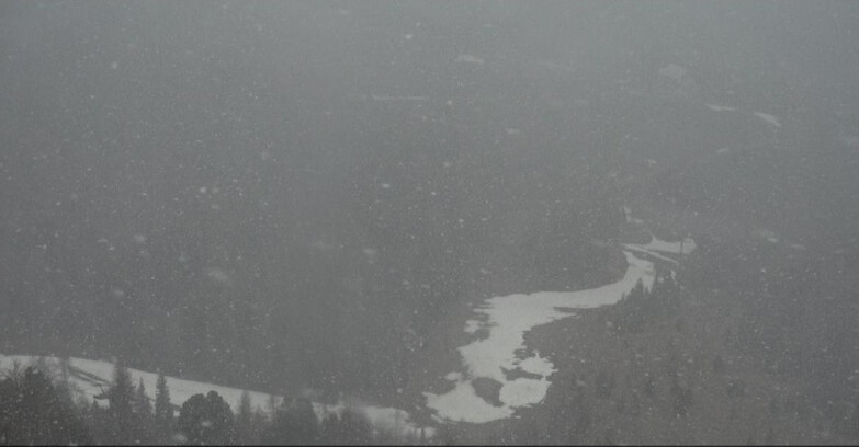 Webcam Moena-Alpe Lusia  - Pivac Piste