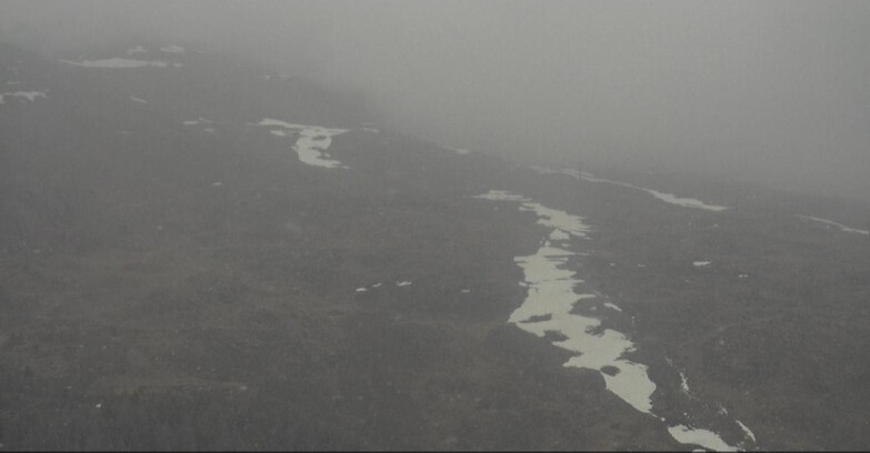 Webcam Moena-Alpe Lusia  - Arrivo seggiovia Campo-Laste