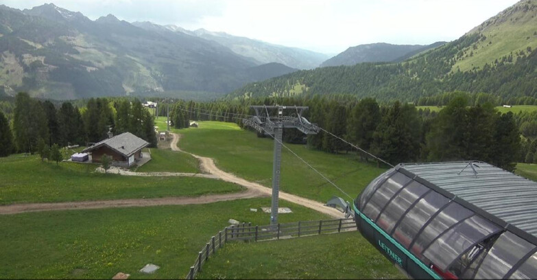 Webcam Bellamonte-Alpe Lusia - La Morea