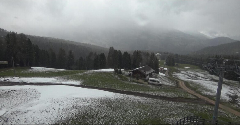 Webcam Bellamonte-Alpe Lusia - Pista Le Fassane e Morea Snowpark