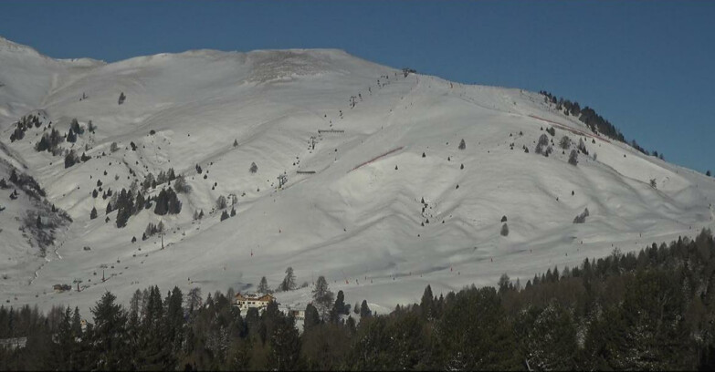 Webcam Bellamonte-Alpe Lusia - Pista direttissima Le Cune