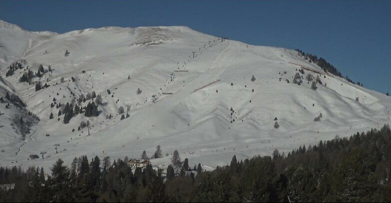 Webcam Bellamonte-Alpe Lusia - Pista direttissima Le Cune