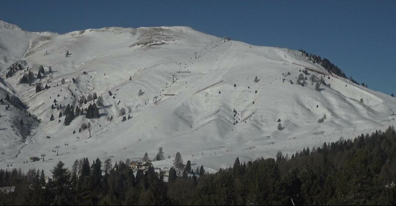 Webcam Bellamonte-Alpe Lusia - Pista direttissima Le Cune