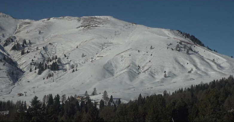 Webcam Bellamonte-Alpe Lusia - Pista direttissima Le Cune