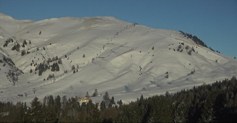 Webcam Bellamonte-Alpe Lusia - Pista direttissima Le Cune