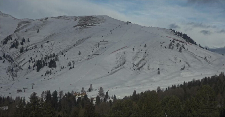 Webcam Bellamonte-Alpe Lusia  - Pista direttissima Le Cune