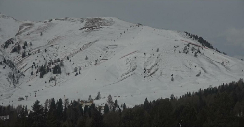 Webcam Bellamonte-Alpe Lusia  - Pista direttissima Le Cune