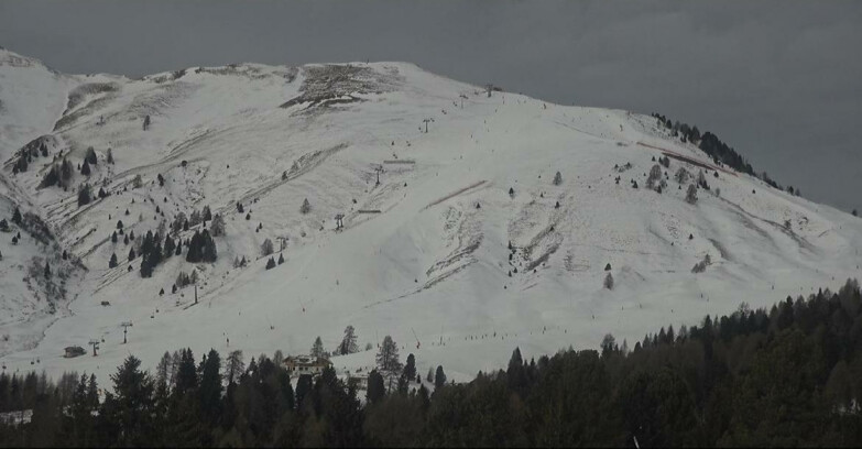 Webcam Bellamonte-Alpe Lusia  - Pista direttissima Le Cune