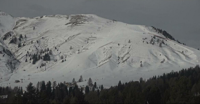 Webcam Bellamonte-Alpe Lusia  - Pista direttissima Le Cune