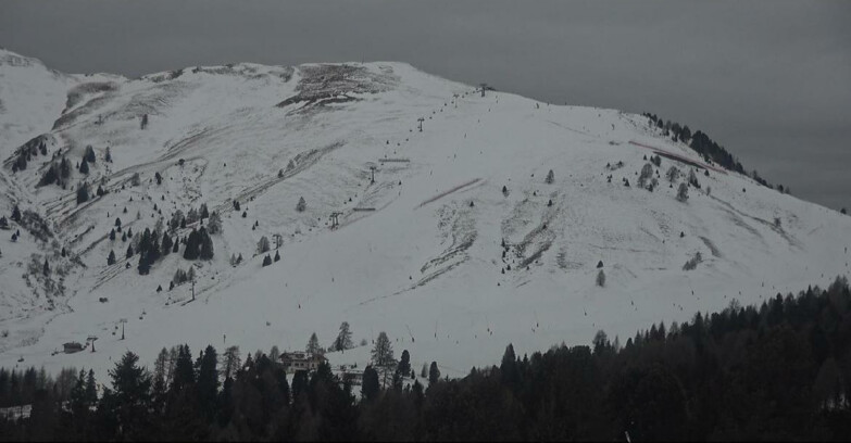 Webcam Bellamonte-Alpe Lusia  - Pista direttissima Le Cune