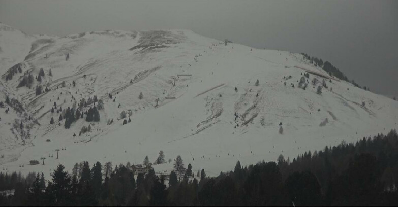 Webcam Bellamonte-Alpe Lusia  - Pista direttissima Le Cune