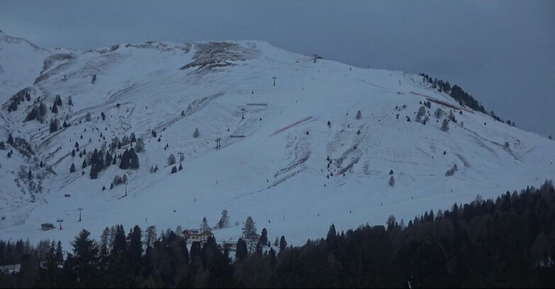 Webcam Bellamonte-Alpe Lusia  - Pista direttissima Le Cune