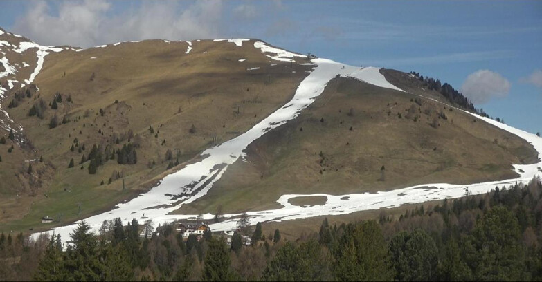 Webcam Белламонте-Альпе-Лусиа  - Pista direttissima Le Cune