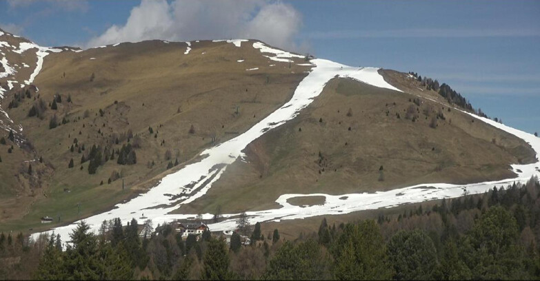 Webcam Белламонте-Альпе-Лусиа  - Pista direttissima Le Cune