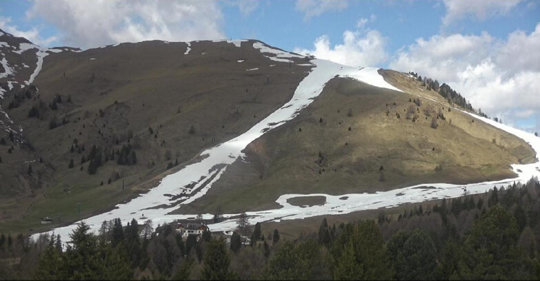 Webcam Белламонте-Альпе-Лусиа  - Pista direttissima Le Cune