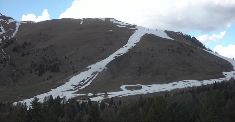 Webcam Белламонте-Альпе-Лусиа  - Pista direttissima Le Cune