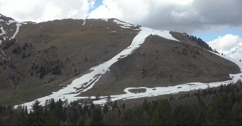 Webcam Белламонте-Альпе-Лусиа  - Pista direttissima Le Cune