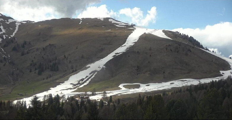 Webcam Белламонте-Альпе-Лусиа  - Pista direttissima Le Cune