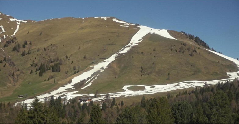 Webcam Bellamonte-Alpe Lusia  - Pista direttissima Le Cune