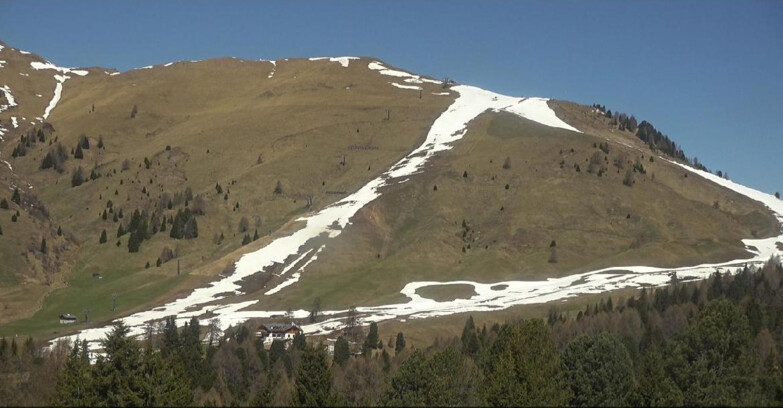 Webcam Bellamonte-Alpe Lusia  - Pista direttissima Le Cune