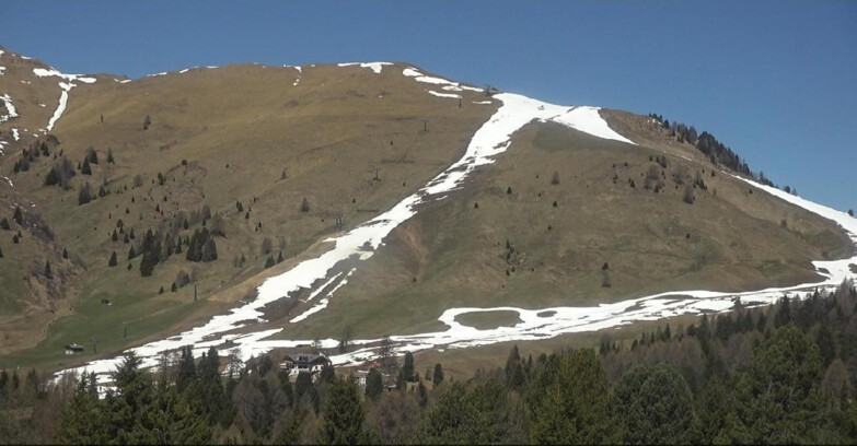 Webcam Bellamonte-Alpe Lusia  - Pista direttissima Le Cune