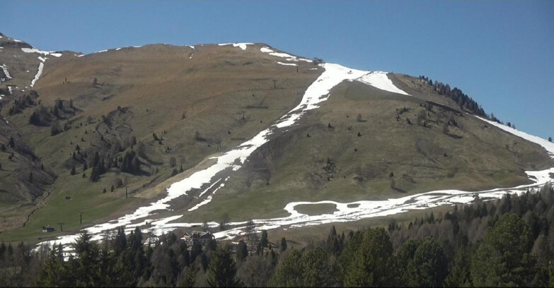 Webcam Bellamonte-Alpe Lusia  - Pista direttissima Le Cune