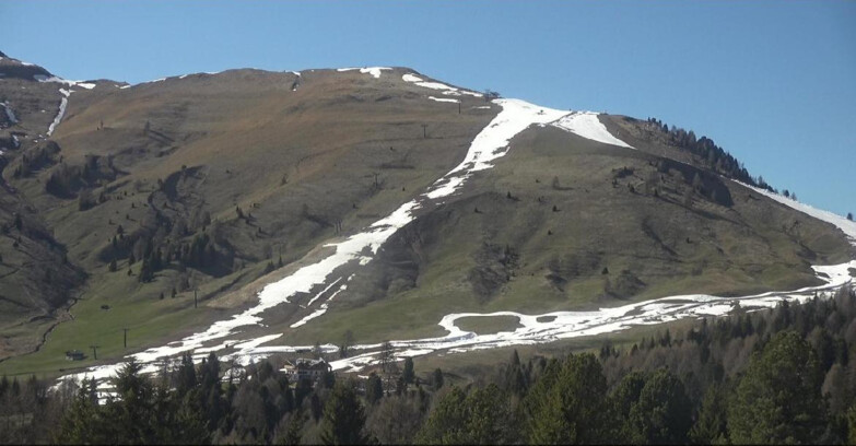 Webcam Bellamonte-Alpe Lusia  - Pista direttissima Le Cune