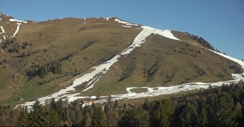Webcam Bellamonte-Alpe Lusia  - Pista direttissima Le Cune