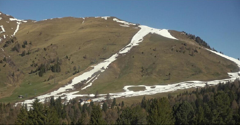 Webcam Bellamonte-Alpe Lusia  - Pista direttissima Le Cune