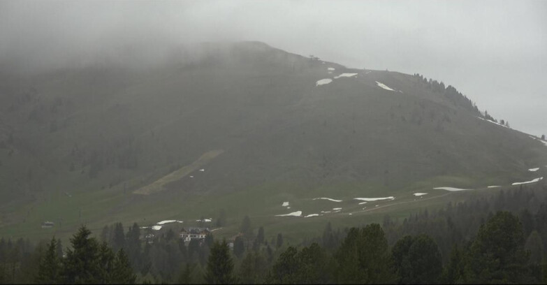 Webcam Bellamonte-Alpe Lusia - Pista direttissima Le Cune