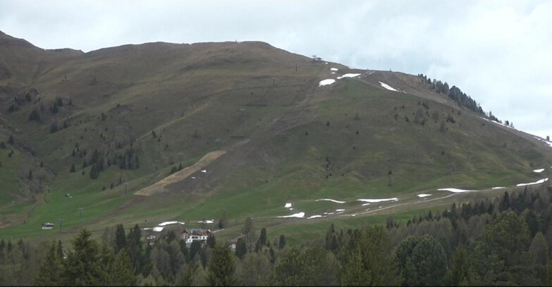 Webcam Bellamonte-Alpe Lusia - Pista direttissima Le Cune