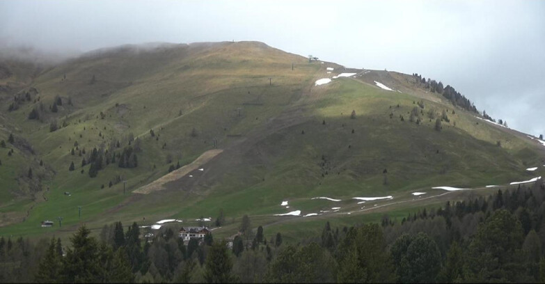 Webcam Bellamonte-Alpe Lusia - Pista direttissima Le Cune