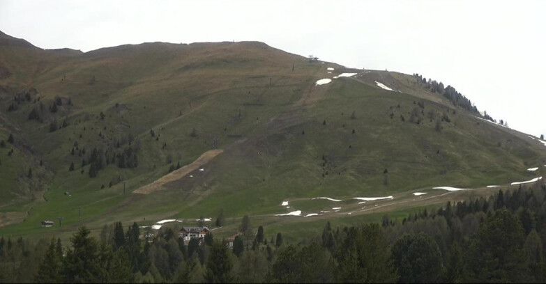 Webcam Bellamonte-Alpe Lusia - Pista direttissima Le Cune