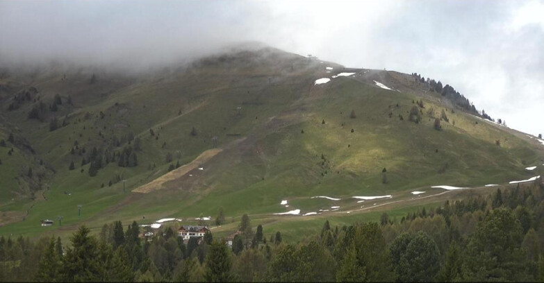 Webcam Bellamonte-Alpe Lusia - Pista direttissima Le Cune