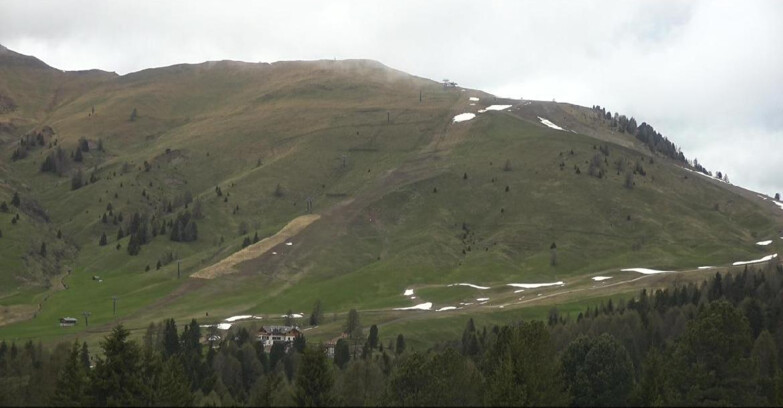 Webcam Bellamonte-Alpe Lusia  - Pista direttissima Le Cune