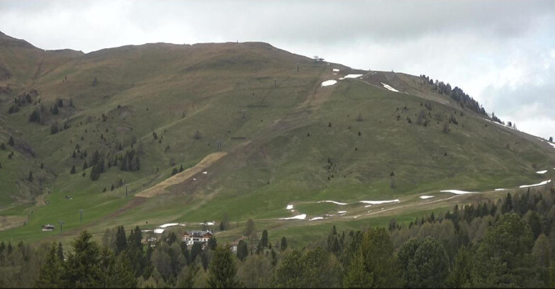 Webcam Bellamonte-Alpe Lusia  - Pista direttissima Le Cune