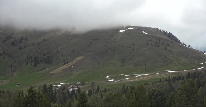 Webcam Bellamonte-Alpe Lusia  - Pista direttissima Le Cune