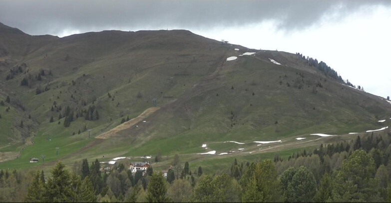 Webcam Bellamonte-Alpe Lusia  - Pista direttissima Le Cune